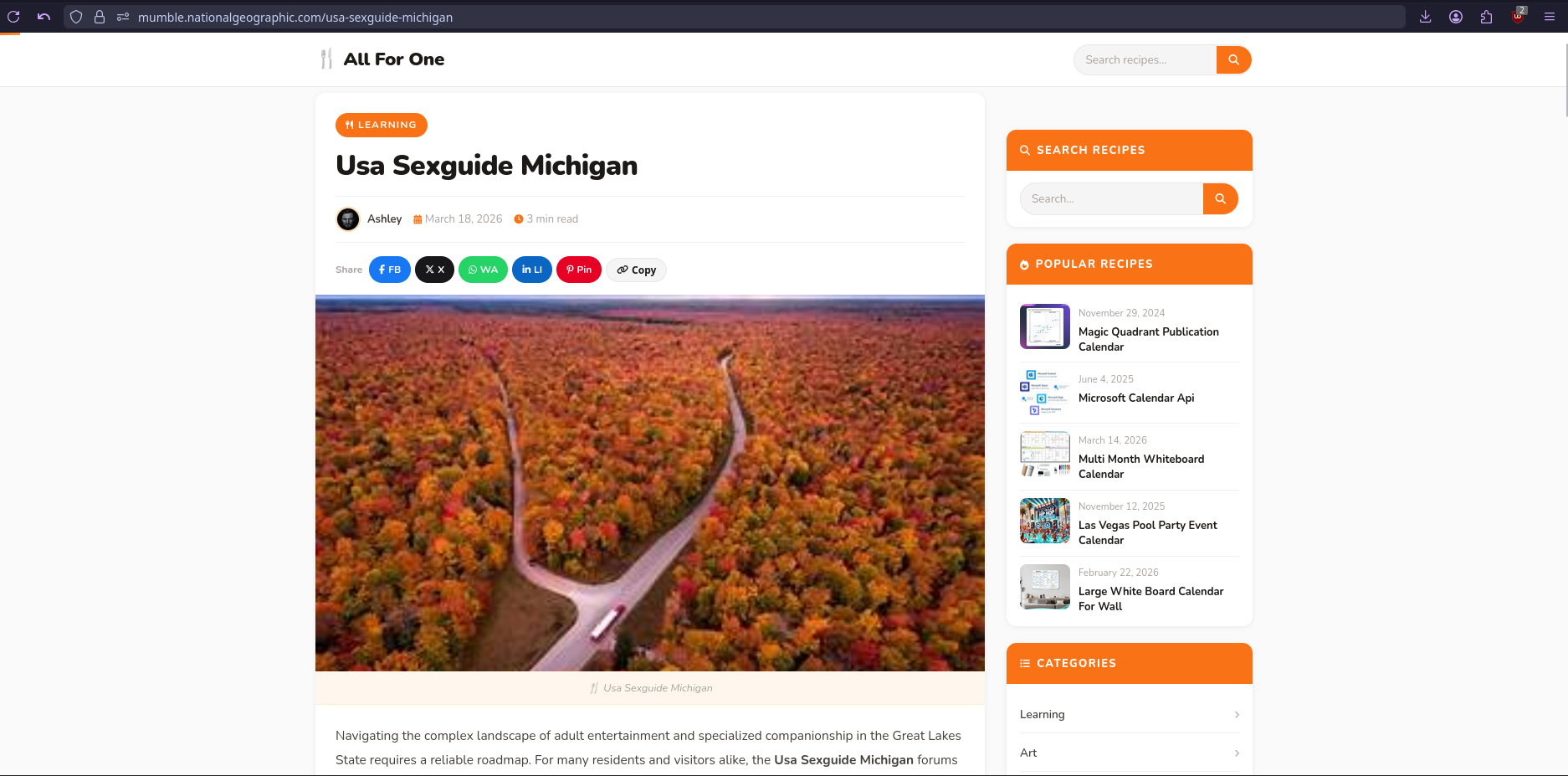 Screenshot of the page, reading an article on &ldquo;Usa Sexguide Michigan&rdquo;, with flowery language